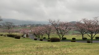 牧場の開放的な雰囲気を無料で味わえる