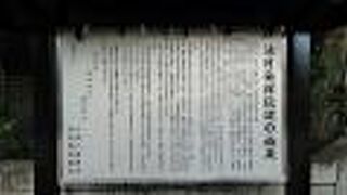 源頼朝の快進撃に貢献したとされる名馬