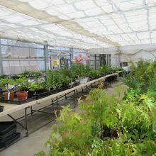 花木農産物直売所さんぽ道