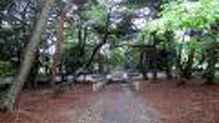 落葉も多く、ちょっと侘しそう。