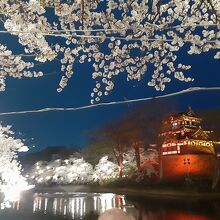 お城と夜桜