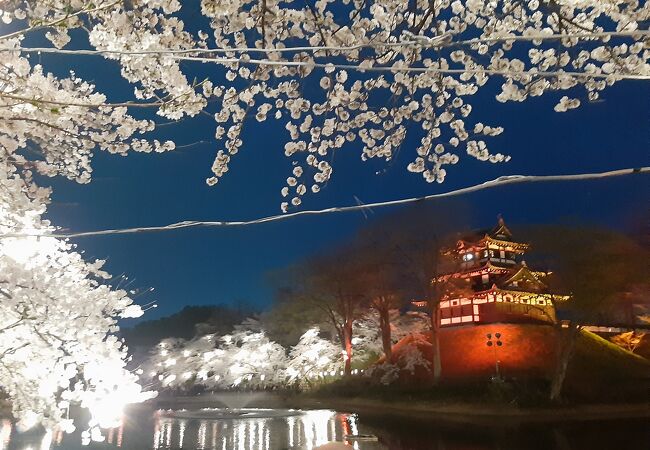 日本三大夜桜の一つ