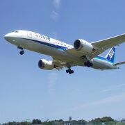 飛行機の着陸が見れる