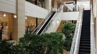 札幌駅直結のデパート