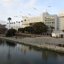 新町川水際公園 しんまちボードウォーク