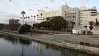 新町川水際公園 しんまちボードウォーク