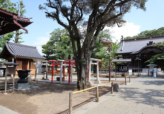 中目黒 祐天寺のおすすめ観光スポット クチコミ人気ランキングtop フォートラベル 東京 中目黒 祐天寺のおすすめ観光スポット クチコミ人気ランキングtop フォートラベル 東京