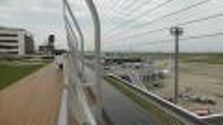 広々として開放的