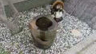 水琴窟風とおタヌキさん