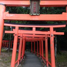 深田池辺りからの鳥居