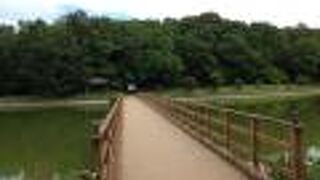 橿原神宮に有る池