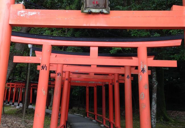長山稲荷社 クチコミ アクセス 営業時間 橿原 フォートラベル 長山稲荷社 クチコミ アクセス 営業時間 橿原 フォートラベル
