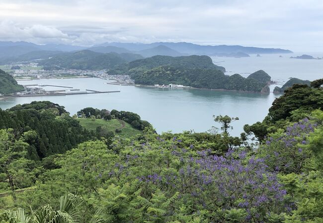 宮崎県の祭り イベント クチコミ人気ランキングtop19 フォートラベル 宮崎県の祭り イベント クチコミ人気ランキングtop19 フォートラベル