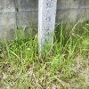 城跡