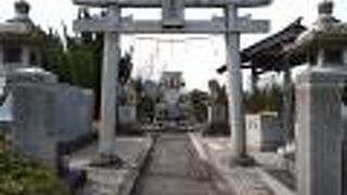 飛行機好きにオススメできるスポット