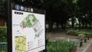 青緑が多く晴天のお散歩にお勧めです。