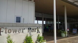 大きなフラワーパーク！