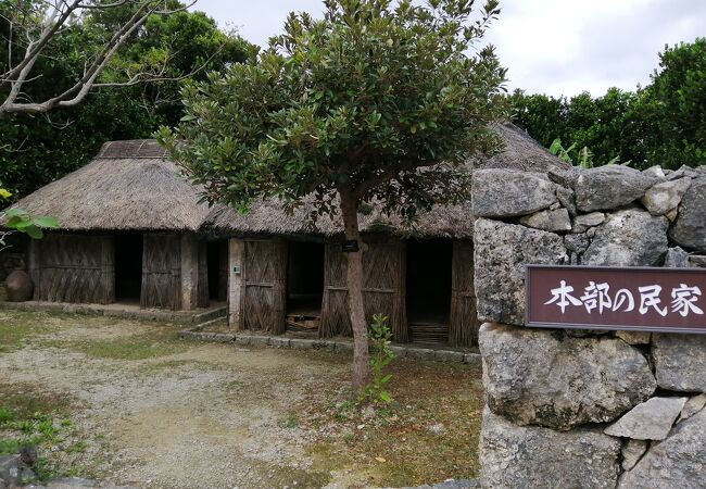 おきなわ郷土村 おもろ植物園 クチコミ アクセス 営業時間 美ら海 本部 今帰仁 フォートラベル おきなわ郷土村 おもろ植物園 クチコミ アクセス 営業時間 美ら海 本部 今帰仁 フォートラベル