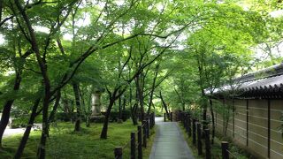 みかえり阿弥陀で有名なお寺