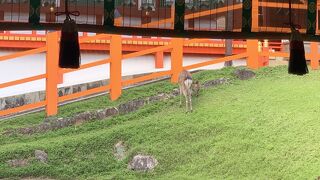 由緒正しい神社