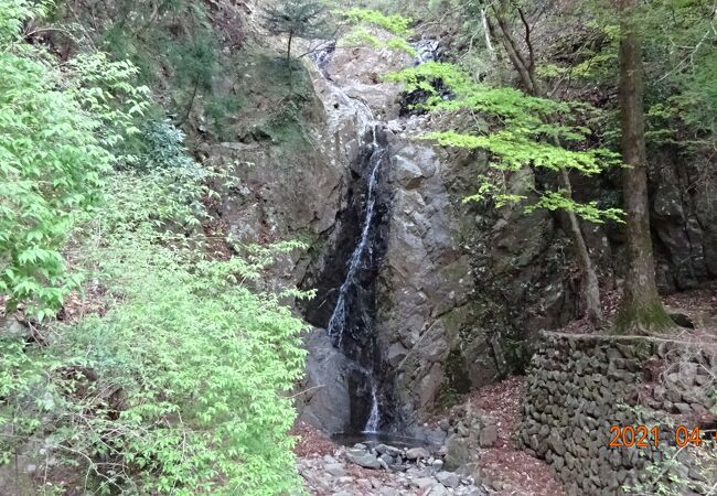 大山山頂からの下りの途中に見ることが出来ます