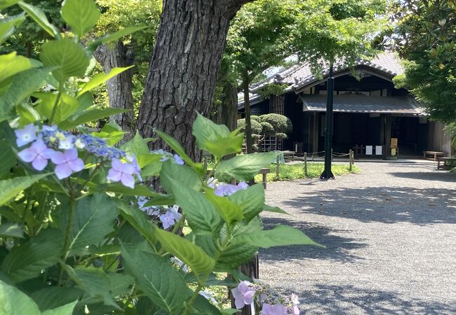 初夏の堀田邸は？