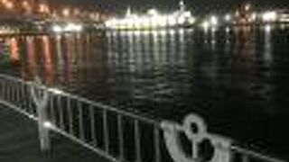 朝夕のおさんぽに