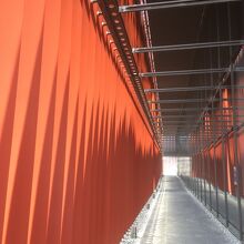 夜でも外観は入れます