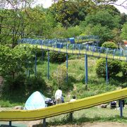 金沢自然公園 クチコミ アクセス 営業時間 八景島 フォートラベル 金沢自然公園 クチコミ アクセス 営業時間 八景島 フォートラベル