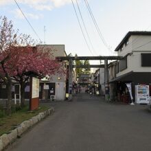 桜山神社の鳥居です