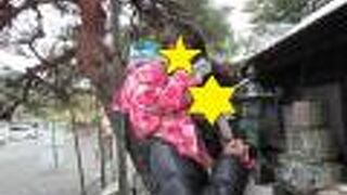 広い神社でした