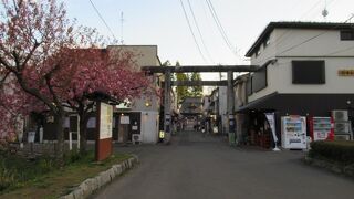 お城散策の帰りに寄りました