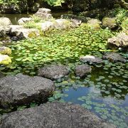 自然に美術館のマナーを守る