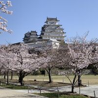 姫路城 (姫路公園)