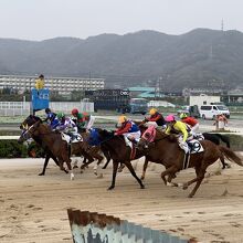 姫路競馬場