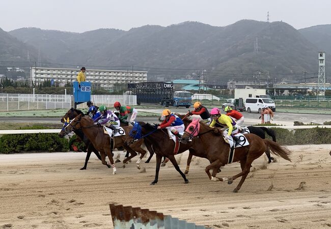 姫路競馬場