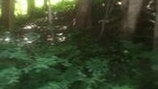 青森県にきたなら