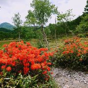 湿原に池を気軽にハイキング