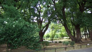 都心の大きな公園