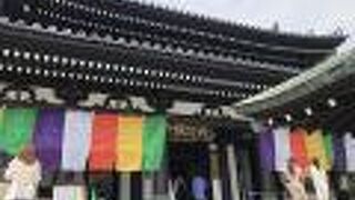 十一面観世音菩薩像を拝める