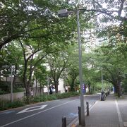 桜の時期以外も良い感じ。おハイソな住民の生活を垣間見ることができます。