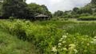 2021年6月中は夜間立入禁止です。