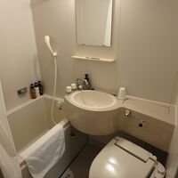 バスルームはどこにでもあるタイプ