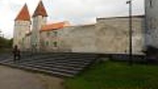 旧市街のあちこちで見ることが出来ました