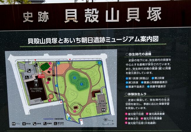 弥生遺跡に特化した展示　貝塚遺跡も