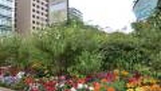 まさに憩いの場です