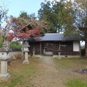 神社があり、井戸があり。