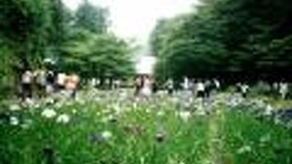 入園無料で、四季折々楽しめます。