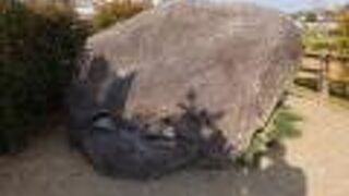 表情が可愛い。