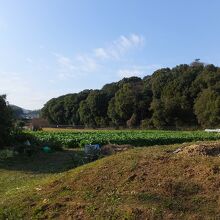 鬼の俎・鬼の雪隠の方角から。